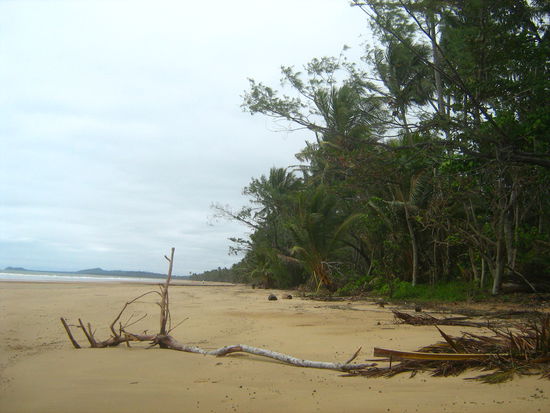 Strand von Mission Beach