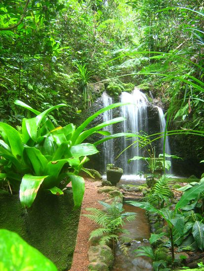 Teresa Falls - benannt nach der Tochter der Paronella Familie