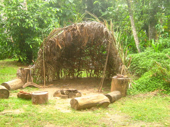 Eine Behausung der Doolgubudda People - aus Ginger Leaves (Ingwerblaettern) die sind naemlich wasserdicht...