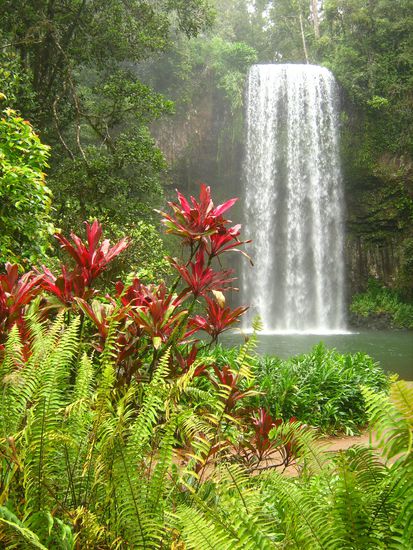 Millaa Millaa Falls