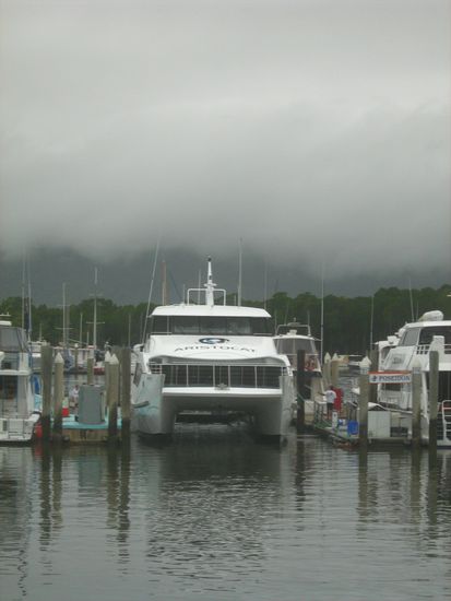Die Aristocat (Schnellboot) im Hafen von Port Douglas