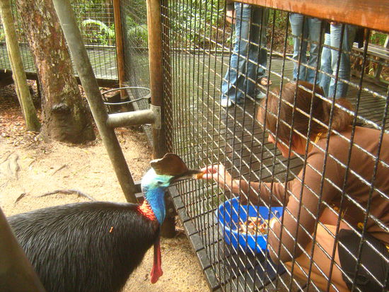 Am liebsten mochte er Fruechte aus der grossen blauen Schuessel 