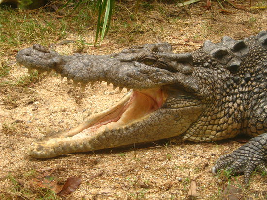 Jensi: Klappe die 2. - aber hier wollte Jensi schon nicht mehr mitspielen 