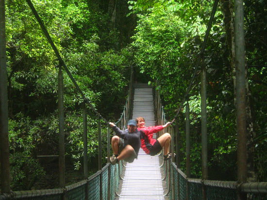 SMILE  - eine alte Haengebruecke aus Holz ist durch die Mossman Schlucht gespannt.