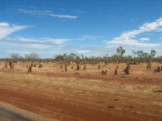 Und wieder Termitenhuegel die das Landschaftsbild praegen - Mitsu on The Road
