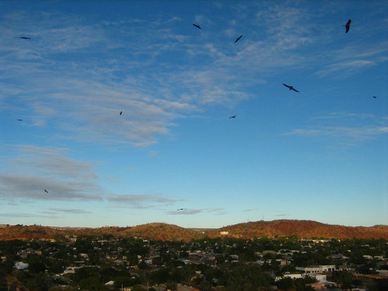 Ueber der Stadt schweben unzaehlige Adler und andere Greifvoegel.