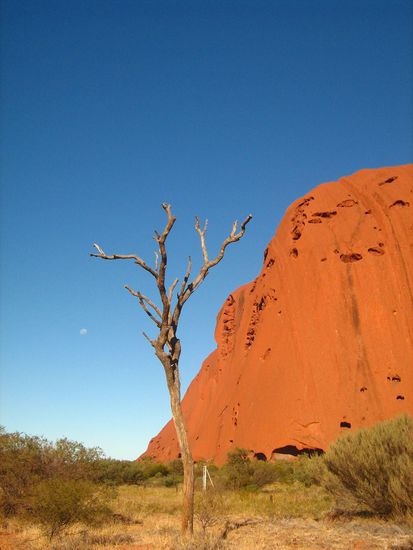 Uluru am Nachmittag - unsere Kamera konnte viele "Postkartenmotive" einfangen