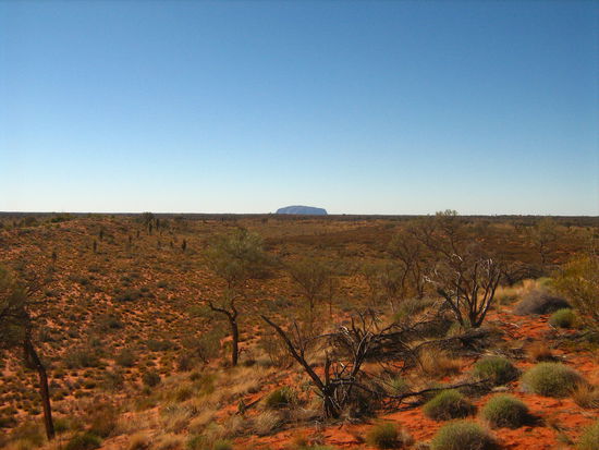 See ya Uluru!
