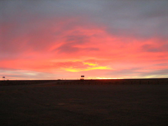 Sonnenaufgang im Outback