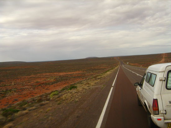 Der Blick vom Beifahrersitz - Ko-Pilotin Franzi musste Pilot Jensi jederzeit ueber Wildaktivitaet auf der Fahrbahn in Kenntniss setzen.