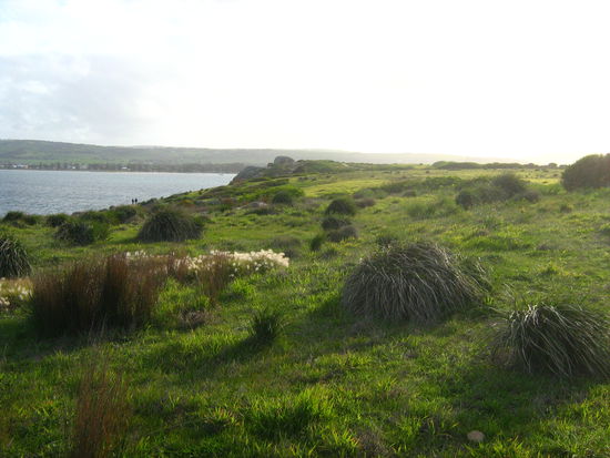 Im Winter ist die Insel sehr viel gruener stellten wir fest.