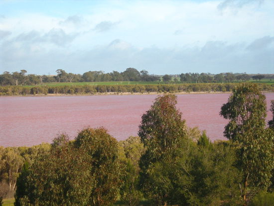 unterwegs: Pink Lakes