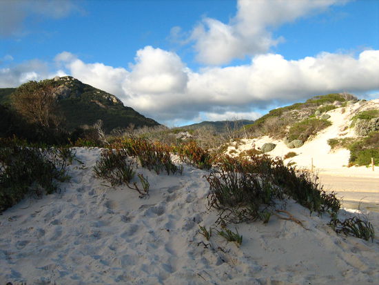 Squeaky Beach - "quietschig"-squeaky wenn man ueber den feinen Sand laeuft