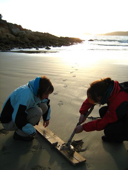 Die Maedels bei der Quallen-Rettungs-Aktion 