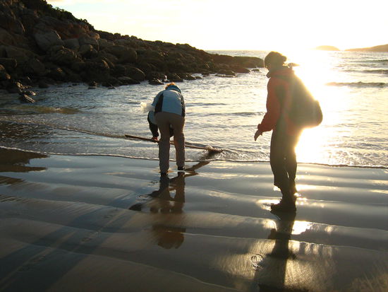 Bin mir nicht sicher ob die Qualle das tatsaechlich so wollte - aber die Maedels waren ueberzeugt.