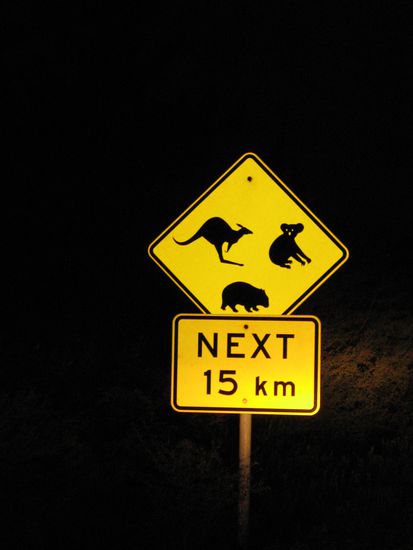 Auf dem Rueckweg konnten wir nach Sonnenuntergang jede Menge Tiere sehen, nicht nur auf dem Strassenschildern 