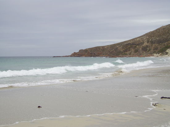 Strand von Stoke Bay