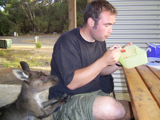 Abendbrot mit Kaengurus
