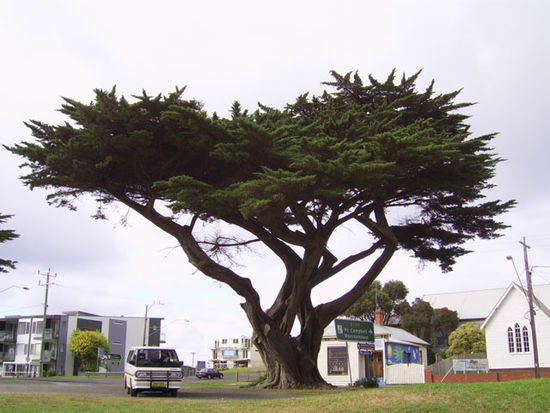 Apollo Bay
