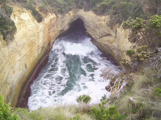 The Blowhole