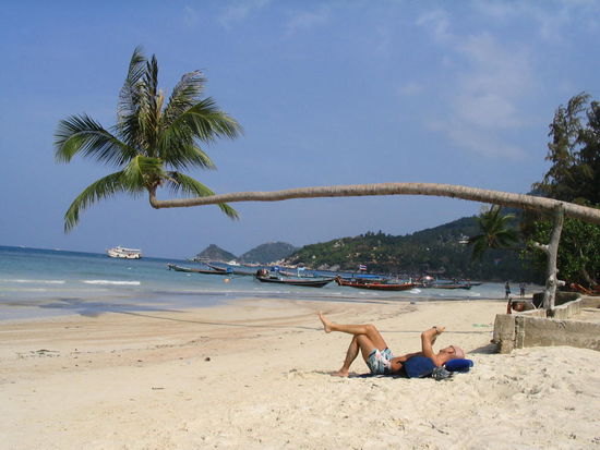 geile palme oder
auch ein beliebtes postkarten motiv