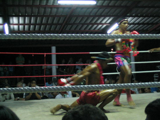 wohl ein anfangsritual
das haben die vor jedem kampf gemacht