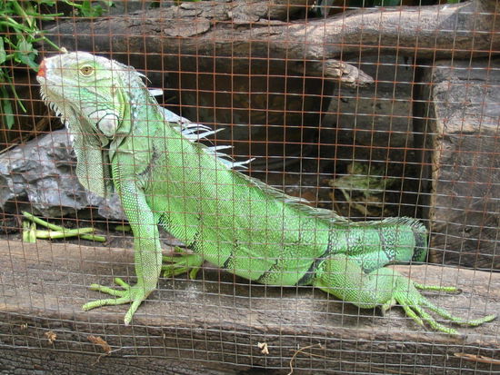 am pier auf dem weg zum MBK endeckt