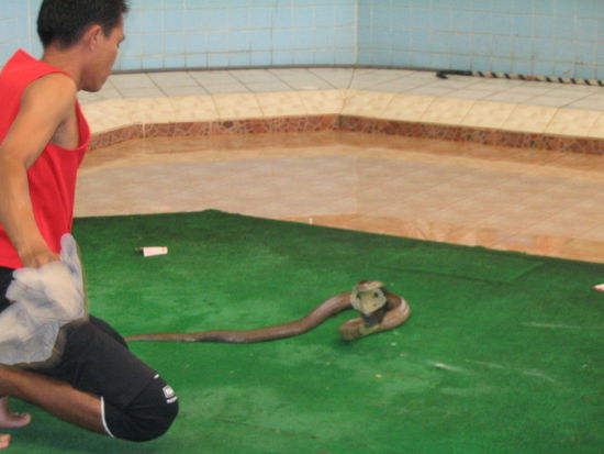 alle zaehne geputzt??