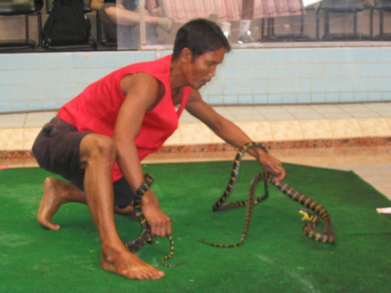 die letzte von den sachlangen hat der kerl mit dem mund in einer rolle vorwaerts gefangen