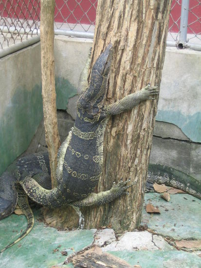 ob die position gemuetlich ist??