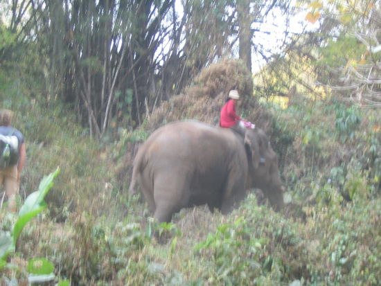 auf dem weg zum camp