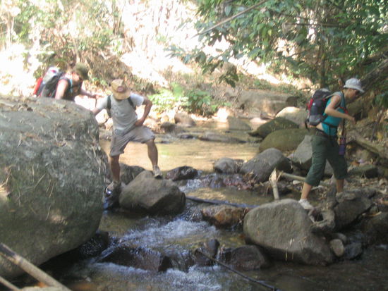 macht trichtig laune