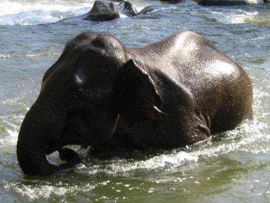 jetzt isser schoen sauber