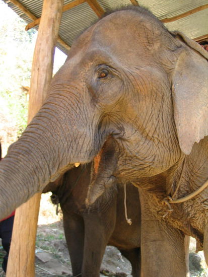 kurz vor dem beinahe kinhacken