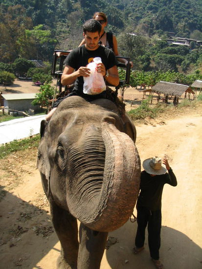 belohnung zwischendurch