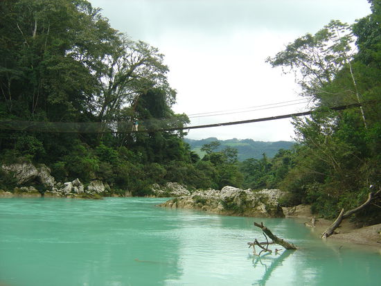 Die Hängebrücke über Agua Clara