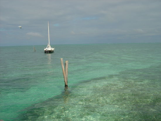 Das Meer vom Steg aus in Caye Caulker