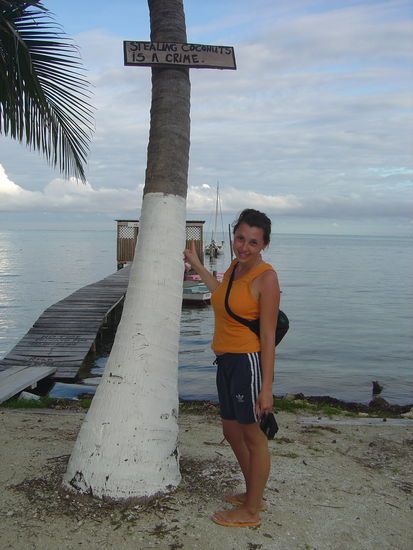 "Stealing coconuts is a crime"