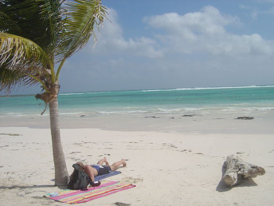 Michi am Strand in Akumal