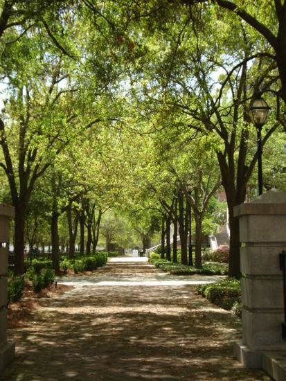 Park an der Kueste von Charleston
