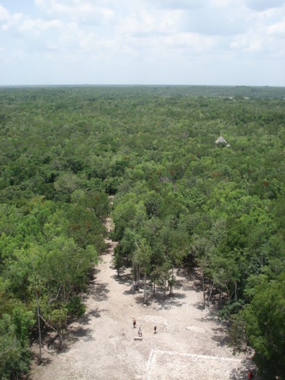 Blick von oben über den Dschungel (Selva)