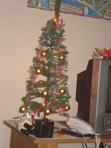 Nicht einmal der (3$-)Weihnachtsbaum fehlte.