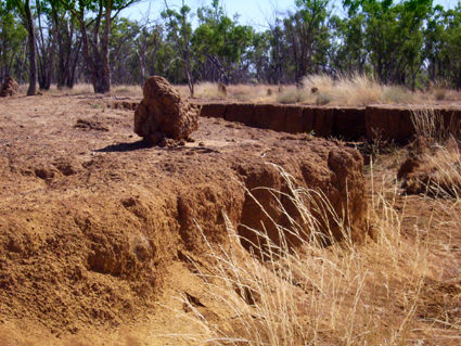 Ausgetrockneter Creek mit Termite Mount