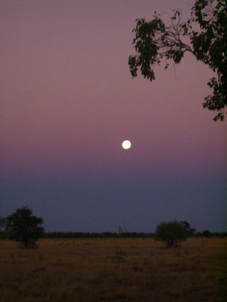 Mond über Boongoondoo...