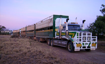 Drei Road-Trains hintereinander...