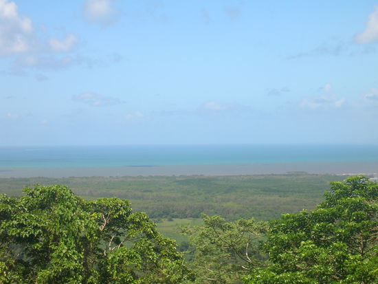 Regenwald trifft Grea Barrier Reef