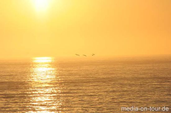 Romantisch ist so ein Abend schon unter der Sonne Kaliforniens