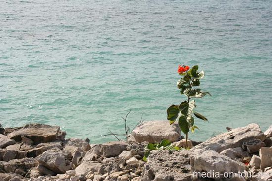 Die Tour setzen wir auf Yucatan fort. Das Meerwasser in der Karibik ist einmalig. Warm, weich und wunderbar