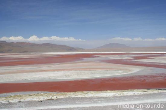 Die Laguna Colorada - Algen lassen das Wasser in der Lagune je nach Tageszeit in den buntesten Tönen glitzern