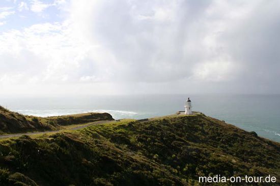 Es geht bis hoch zum Cape Reinga